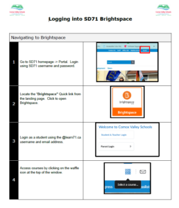 screenshot of instructions for logging into brightspace