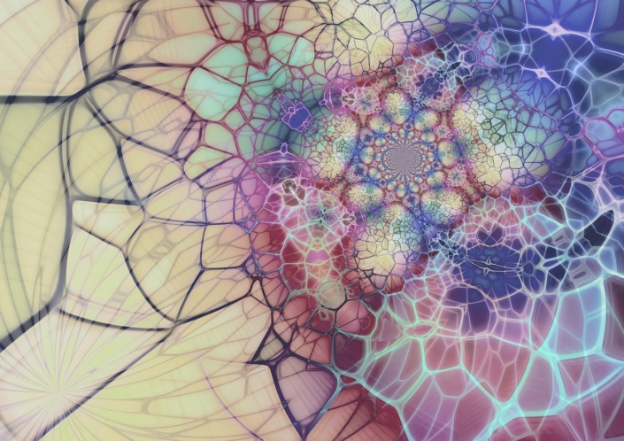 Social Emotional Learning