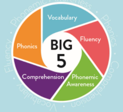 wheel with the big 5 listed fluency, vocabulary, phonics, comprehension, phonemic awareness