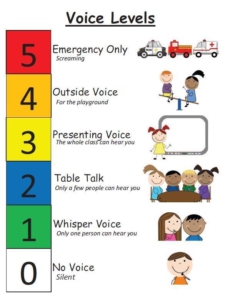 voice level with support