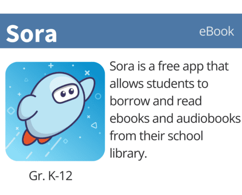 icon image with text explaining the app for sora