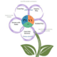 Framework Flower Model