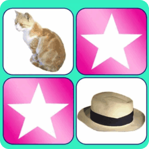 4 squares cat, hat and 2 stars