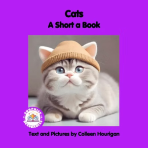 surprise decodables image