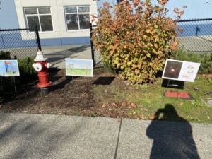 The Something Book Walk