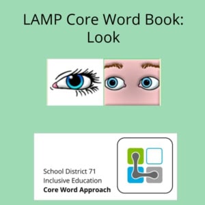 LAMP SCore Word Book Look