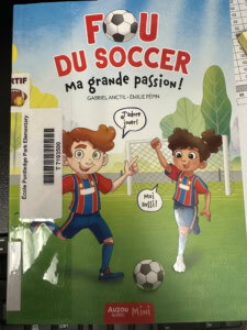 Fou du soccer cover