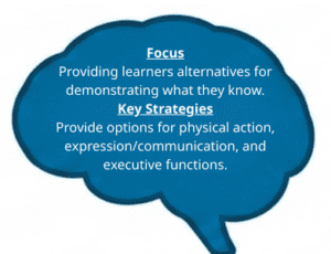 White text on teal brain: Focus: Providing learners alternatives for demonstrating what they know. Key Strategies: Provide options for physical action, expression/communication, and executive functions.
