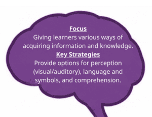 White text on purple brain: Focus: Giving learners various ways of acquiring information and knowledge. Key Strategies: Provide options for perception (visual/auditory), language and symbols, and comprehension.