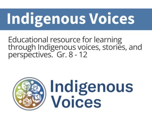 Indigenous Voices Indigenous Voice cover image